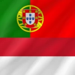 indonesian - portuguese android application logo